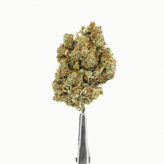 Pré-Roulé CBD Premium – GREEN