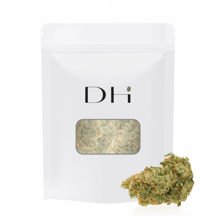 Fleur de CBD Girl Scout Cookie, soigneusement cultivée dans les terres italiennes. Grâce à la méthode d'hydroponie, nous assurons une concentration optimale en CBD, permettant aux connaisseurs de savourer pleinement les nuances sucrées et terreuses de cette variété emblématique.